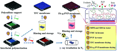 Graphical abstract: Tailor-made high-performance reverse osmosis membranes by surface fixation of hydrophilic macromolecules for wastewater treatment