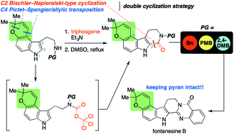 Graphical abstract: Total synthesis of pyrano[3,2-e]indole alkaloid fontanesine B by a double cyclization strategy