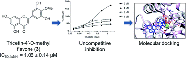 Graphical abstract: New Leishmania donovani nucleoside hydrolase inhibitors from Brazilian flora