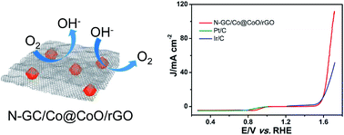 Graphical abstract: Reduced graphene oxide-supported cobalt oxide decorated N-doped graphitic carbon for efficient bifunctional oxygen electrocatalysis