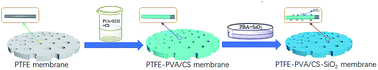 Graphical abstract: PVA and CS cross-linking combined with in situ chimeric SiO2 nanoparticle adhesion to enhance the hydrophilicity and antibacterial properties of PTFE flat membranes