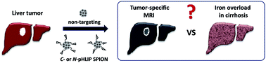 Graphical abstract: Evaluation of non-targeting, C- or N-pH (low) insertion peptide modified superparamagnetic iron oxide nanoclusters for selective MRI of liver tumors and their potential toxicity in cirrhosis