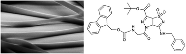 Graphical abstract: Electrospinning of pyrazole-isothiazole derivatives: nanofibers from small molecules