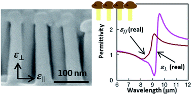 Graphical abstract: High-aspect-ratio mushroom-like silica nanopillars immersed in air: epsilon-near-zero metamaterials mediated by a phonon-polaritonic anisotropy