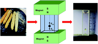 Graphical abstract: Using magnetic levitation for density-based detection of cooking oils