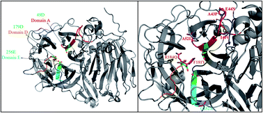 Graphical abstract: Cloning, expression and characterization of a novel fructosyltransferase from Aspergillus niger and its application in the synthesis of fructooligosaccharides