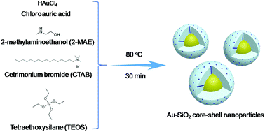 Graphical abstract: One-pot one-step synthesis of Au@SiO2 core–shell nanoparticles and their shell-thickness-dependent fluorescent properties