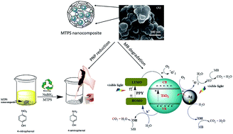 Graphical abstract: Rational design of a polypyrrole-based competent bifunctional magnetic nanocatalyst