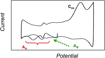 Graphical abstract: Electrochemical monitoring of ROS influence on seedlings and germination response to salinity stress of three species of the tribe Inuleae