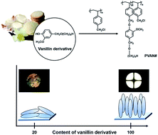 Graphical abstract: Vertical alignment of liquid crystals on plant-based vanillin derivative-substituted polystyrene films