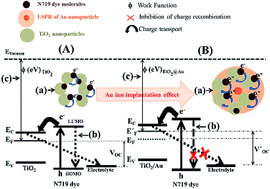 Graphical abstract: Fabrication of plasmonic dye-sensitized solar cells using ion-implanted photoanodes