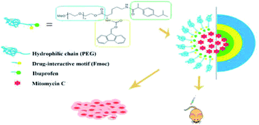 Graphical abstract: In vitro and in vivo evaluation of a novel mitomycin nanomicelle delivery system