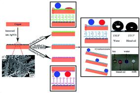 Graphical abstract: Facile fabrication of amphiphobic surfaces on copper substrates with a mixed modified solution