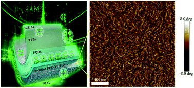 Graphical abstract: Organic–inorganic hybrid perovskite quantum dot light-emitting diodes using a graphene electrode and modified PEDOT:PSS