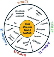 Graphical abstract: Mimicking growth factors: role of small molecule scaffold additives in promoting tissue regeneration and repair