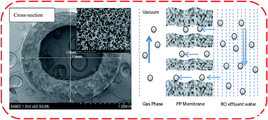 Graphical abstract: Fabrication of PP hollow fiber membrane via TIPS using environmentally friendly diluents and its CO2 degassing performance