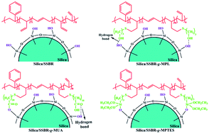 Graphical abstract: Interfacial interaction modes construction of various functional SSBR–silica towards high filler dispersion and excellent composites performances