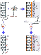 Graphical abstract: Ultrasound-assisted sorption of Pb(ii) on multi-walled carbon nanotube in presence of natural organic matter: an insight into main and interaction effects using modelling approaches of RSM and BRT