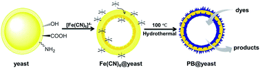 Graphical abstract: Microbial synthesis of hollow porous Prussian blue@yeast microspheres and their synergistic enhancement of organic pollutant removal performance