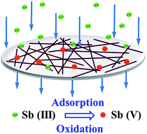 Graphical abstract: Nanoscale iron (oxyhydr)oxide-modified carbon nanotube filter for rapid and effective Sb(iii) removal
