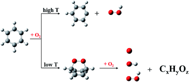 Graphical abstract: Global ab initio exploration of potential energy surfaces for radical generation in the initial stage of benzene oxidation