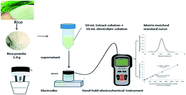 Graphical abstract: In situ fast analysis of cadmium in rice by diluted acid extraction-anodic stripping voltammetry