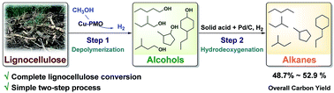 Graphical abstract: Two-step catalytic conversion of lignocellulose to alkanes