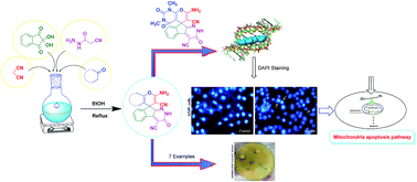 Graphical abstract: Synthesis and evaluation of antimicrobial activity, cytotoxic and pro-apoptotic effects of novel spiro-4H-pyran derivatives