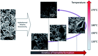 Graphical abstract: Mechanism and kinetics of magnetite oxidation under hydrothermal conditions
