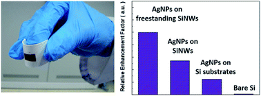 Graphical abstract: Self-formed silver nanoparticles on freestanding silicon nanowire arrays featuring SERS performances