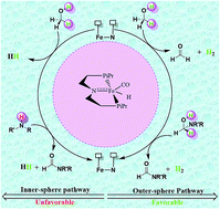 Graphical abstract: Mechanism of atom economical conversion of alcohols and amines to amides using Fe(ii) pincer catalyst. An outer-sphere metal–ligand pathway or an inner-sphere elimination pathway?