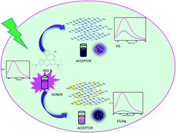Graphical abstract: Photophysical deactivation behaviour of Rhodamine B using different graphite materials