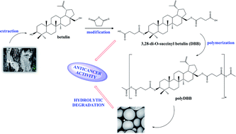 Graphical abstract: Novel polymeric derivatives of betulin with anticancer activity