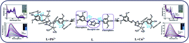 Graphical abstract: Triazole-based novel bis Schiff base colorimetric and fluorescent turn-on dual chemosensor for Cu2+ and Pb2+: application to living cell imaging and molecular logic gates