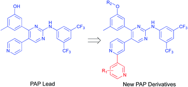 Graphical abstract: Design and synthesis of novel phenylaminopyrimidines with antiproliferative activity against colorectal cancer