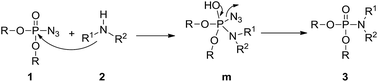 Graphical abstract: Transition-metal-free amination phosphoryl azide for the synthesis of phosphoramidates