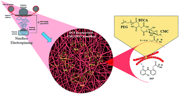 Graphical abstract: A green approach to obtain stable and hydrophilic cellulose-based electrospun nanofibrous substrates for sustained release of therapeutic molecules