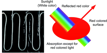 Graphical abstract: Innovative flat-plate solar collector (FPC) with coloured water flowing through a transparent tube