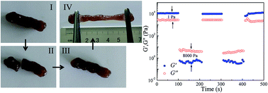 Graphical abstract: Stretchable self-healing hydrogels capable of heavy metal ion scavenging