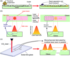 Graphical abstract: Laser-treated glass platform for rapid wicking-driven transport and particle separation in bio microfluidics