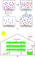 Graphical abstract: Toxicity alleviation for microalgae cultivation by cationic starch addition and ammonia stripping and study on the cost assessment