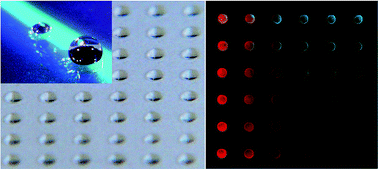 Graphical abstract: Rapid generation of chemical combinations on a magnetic digital microfluidic array