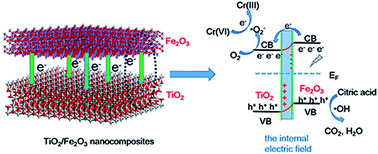Graphical abstract: TiO2/Fe2O3 heterostructures with enhanced photocatalytic reduction of Cr(vi) under visible light irradiation