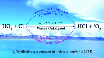 Graphical abstract: Effects of water, ammonia and formic acid on HO2 + Cl reactions under atmospheric conditions: competition between a stepwise route and one elementary step