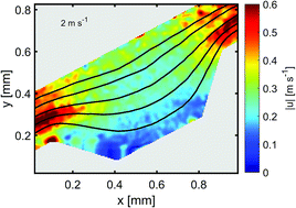 Graphical abstract: Enhanced inertial focusing of microparticles and cells by integrating trapezoidal microchambers in spiral microfluidic channels