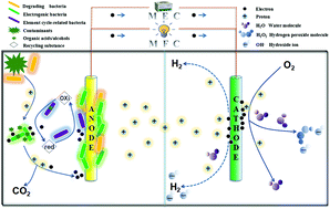 Graphical abstract: Factors affecting the efficiency of a bioelectrochemical system: a review