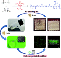 Graphical abstract: Synthesis of a photocurable acrylated poly(ethylene glycol)-co-poly(xylitol sebacate) copolymers hydrogel 3D printing ink for tissue engineering