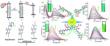 Graphical abstract: Subtle structural variation in azine/imine derivatives controls Zn2+ sensitivity: ESIPT-CHEF combination for nano-molar detection of Zn2+ with DFT support