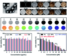 Graphical abstract: Dual-mode US/MRI nanoparticles delivering siRNA and Pt(iv) for ovarian cancer treatment