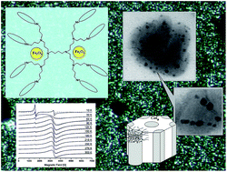 Graphical abstract: Liquid crystalline poly(propylene imine) dendrimer-based iron oxide nanoparticles